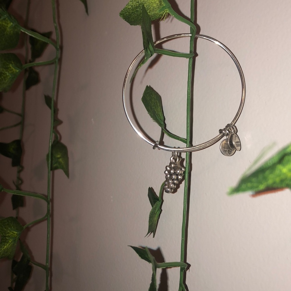 Alex And Ani Grape 🍇 Charm Bracelet